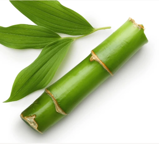 ProstaLite Ingredient Phyllostachys Edulis Extract (Bamboo)